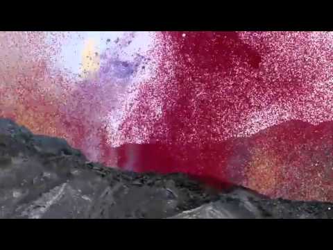 8 Million Flower Petals Rain Down On A Village In Costa Rica