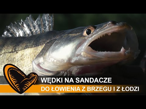 JAKA WĘDKA na SANDACZE do ŁOWIENIA z BRZEGU lub z ŁODZI ?