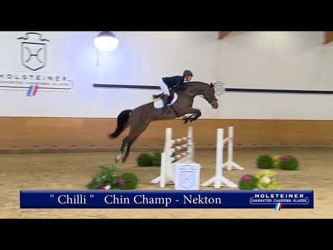 114 | Chilli v. Chin Champ - Nekton