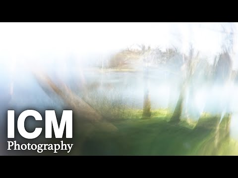 Top 10 Tips for ICM Photography