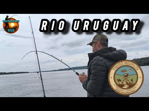 INCREÍBLEE‼️Pescamos en Puerto Yeruá, Junto a Yerua Salvaje, sobre el Río Uruguay!!  
