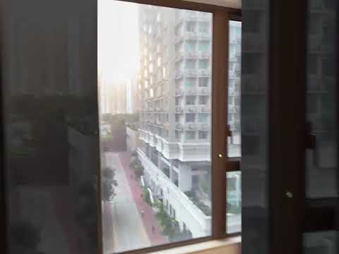 Mangrove Youtube Video