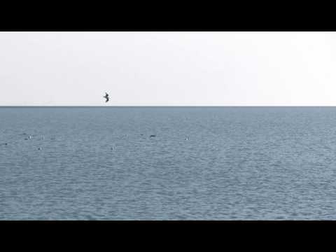 Little Big Sea - Rules (Official Audio)