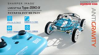 Type-ZERO α