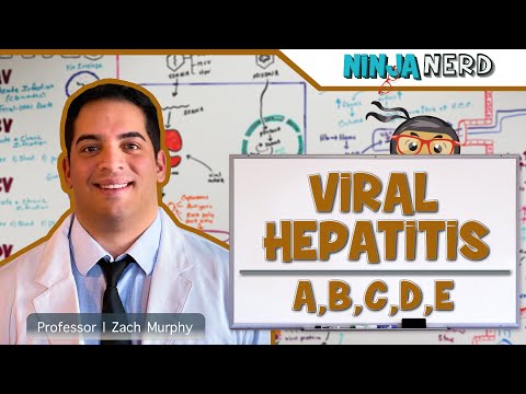 Hepatitis | Pathophysiology of Viral Hepatitis