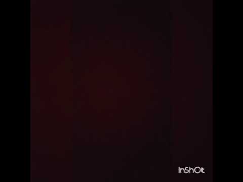 Gaurav Nautiyaal audio of bookstore bomber (Brinkman Adventures)