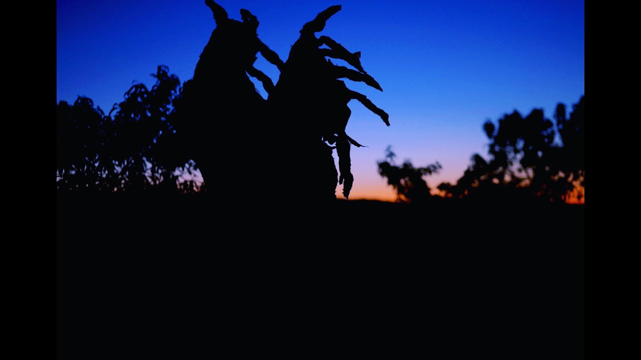 Death Orchard Trailer Thumbnail