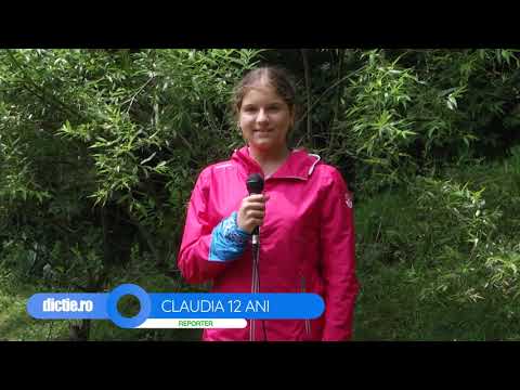 Claudia Vlăduț, prezintă vremea în Tabăra TV Dicție.ro