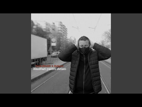 Manifest pentru sistem (feat. Co2peru)