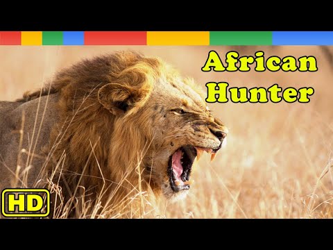 [Nat Geo Wild] Africa's Hunters - Lion Pride 2021 - Animals Documentary Nature HD