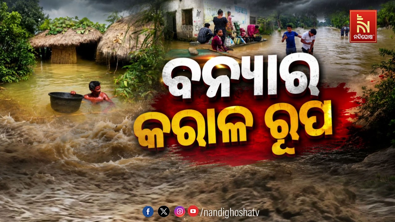 🔴Live | ବନ୍ଯାର କରାଳ ରୂପ | Nandighosha TV