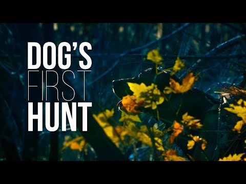 Higdon Outdoors TV - 1102 - "Dog's First Hunt"