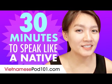 Understand NATIVE Vietnamese Conversations