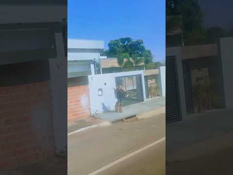 Passando pelo Rio São Lourenço, na cidade de São Pedro da Cipa-MT