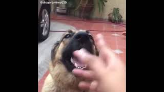 ey get the fuc Outta here