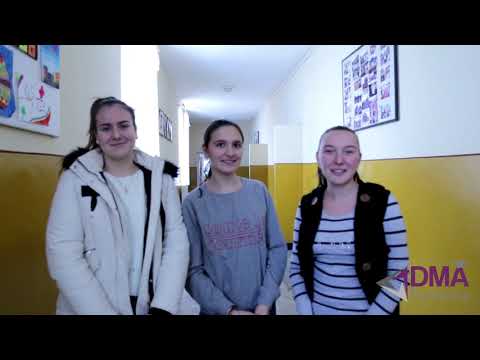 Fundatia DMA in Scoala Generala Pomi, Satu Mare