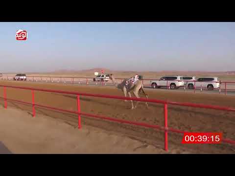  ش 14 (مرجان) لـ راشد سلطان السالومي الدرعي 2:07:02 ، شارة الصندوق 2026/05/09 فطامين الرقيعات
