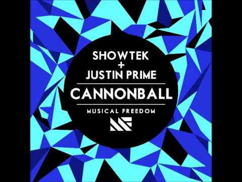 Showtek & Justin Prime - This is what Animals like (vWEES Mashup)