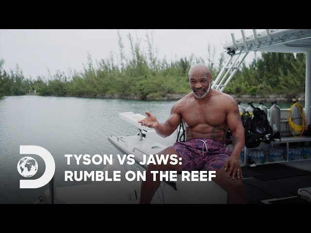 Mike Tyson Swims with Sharks | Tyson vs Jaws:  Rumble on the Reef