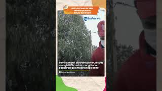 Sering Disepelekan, Ternyata saat Isi BBM Sebaiknya Harus Keluar dari Mobil, Ini Alasannya