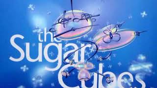 The Sugarcubes : Water
