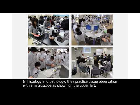 Tohoku University - School of Dentistry
