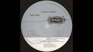Steve Bug & Common Factor - The Pull (2002)