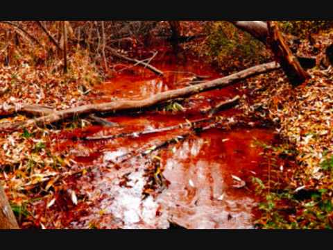 Leijona - Niille jotka on kuolleet pois