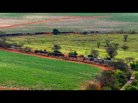 5 DASH9 EM AÇÃO! TREM GIGANTE DE SORGO VISTO DO DRONE EM ARCOS-MG 🚂