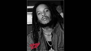 Stephen Marley - Mind Control (lyrics + paroles + letras)