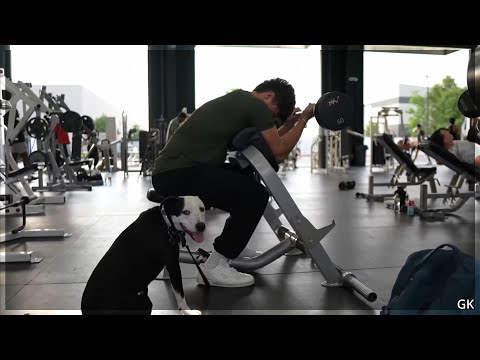 HARDSTYLE Clean Bandit Symphony (feat. Zara Larsson) (LEOJ Remix)