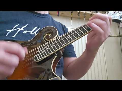 Coall F5 Sunburst 2026 - Sunburst Bild 8