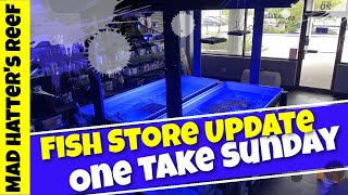 Fish Store Update | One Take Sunday