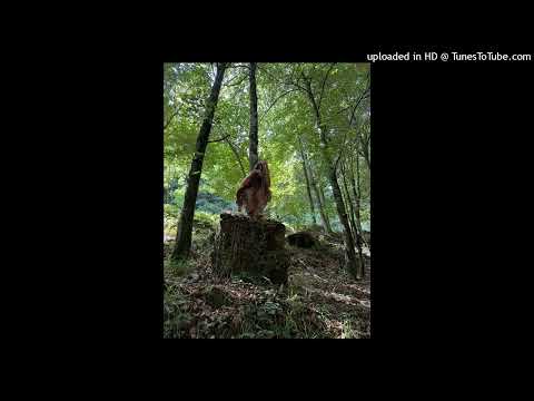 Brunuss Rizzo - team no palomeria (bbtris o metrik)