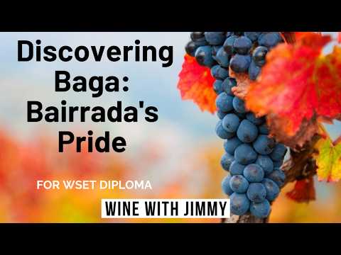 The Red Wines of Bairrada - Baga For WSET Level 4 (Diploma)