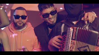 Guayando Y Perriando Lyrics English Translation