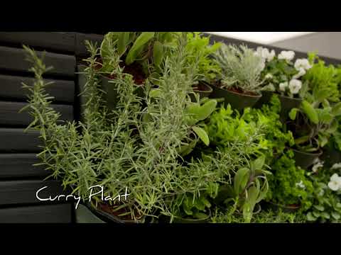 RTÉ Super Garden Episode 2: Take a Sneak Peek at Tara Linnane's garden design!