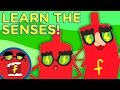 Fredbot Learns The Senses