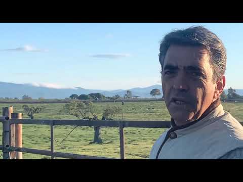 ECHAR DE COMER EN MONTEVIEJO
