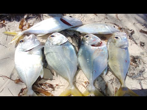 Handline Fishing From Shore