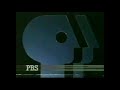 I Accidentally Pbs