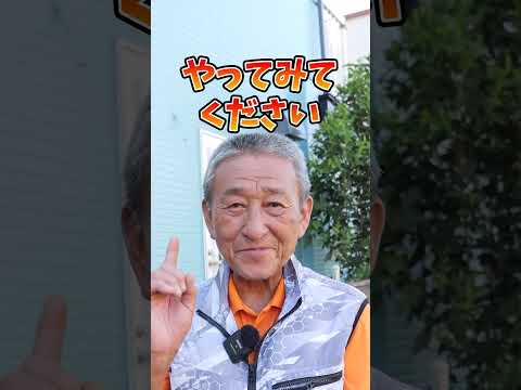 庭、鉢、温室に大根をいつどのように播種するのですか？  庭園
