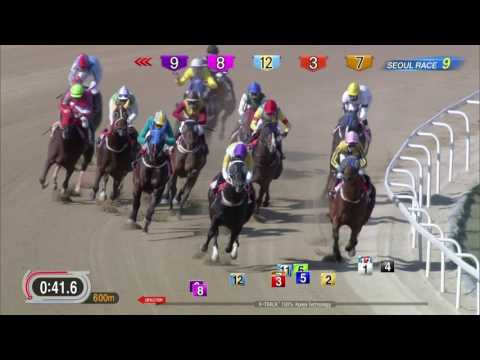 170604 Seoul 9R 1200m