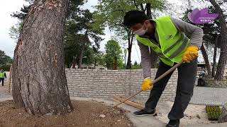 Park ve Bahçeler Müdürlüğüne bağlı ekipler çalışmalarını hızlandırdı