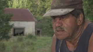 Song of the Kauri - Teaser Trailer