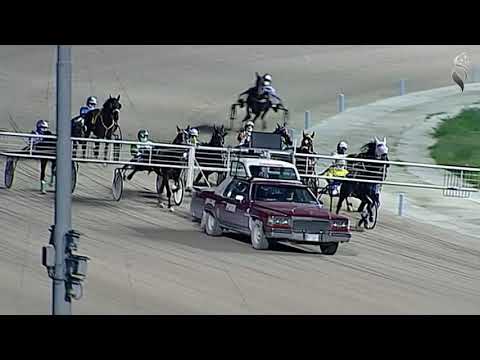 Aversa trotto 31 Ottobre 2020 - 7° Corsa