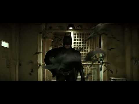 I Gotta Get Me One of Those BATMAN BEGINS Scene 2005 Gary Oldman 720p