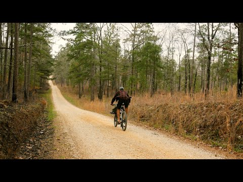 Bikecamping on Omnium Cargo