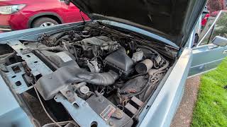 1988 Lincoln Town Car - Start Up