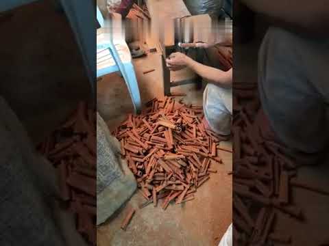Split cinnamon sticks dalchini, for cooking, packaging type:...